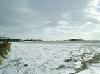 Hommelhof opbouwen