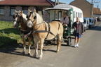 paardenzegening 2010